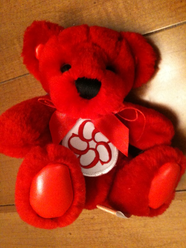 Casti Bear Front